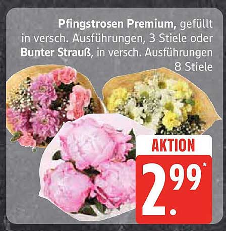 Pfingstrosen Premium, gefüllt in versch. Ausführungen, 3 Stiele oder Bunter Strauß, in versch. Ausführungen 8 Stiele