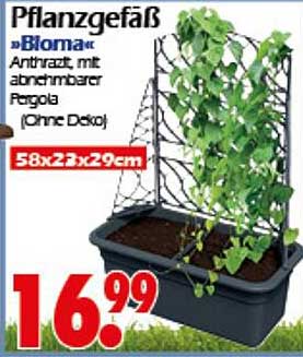 Pflanzgefäß »Bloma« Anthrazit, mit abnehmbarer Pergola (Ohne Deko)