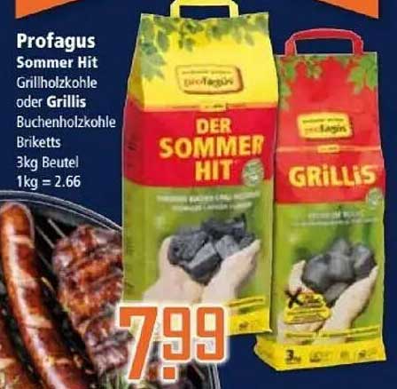Profagus Sommer Hit Grillholzkohle oder Grillis Buchenholzkohle Briketts 3kg Beutel