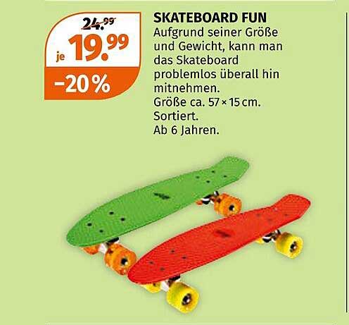 SKATEBOARD FUN
