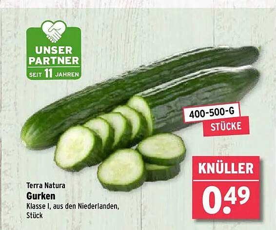 Terra Natura Gurken - Klasse I, aus den Niederlanden, Stück