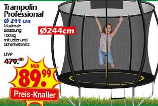 Trampolin Professional Ø 244 cm mit Leiter und Sicherheitsnetz