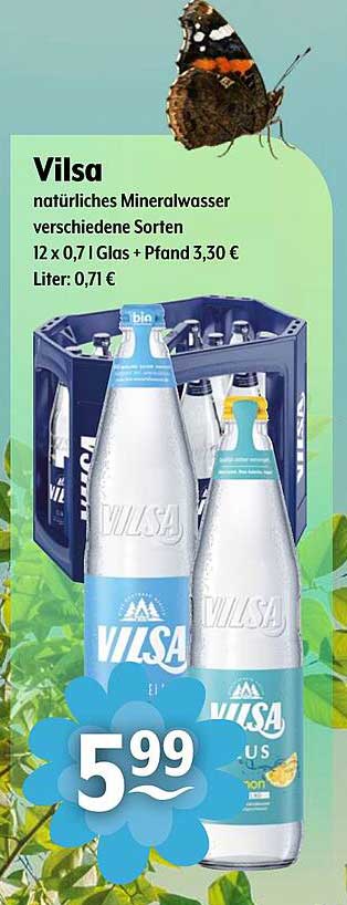 Vilsa natürliches Mineralwasser verschiedene Sorten 12 x 0,7 l Glas