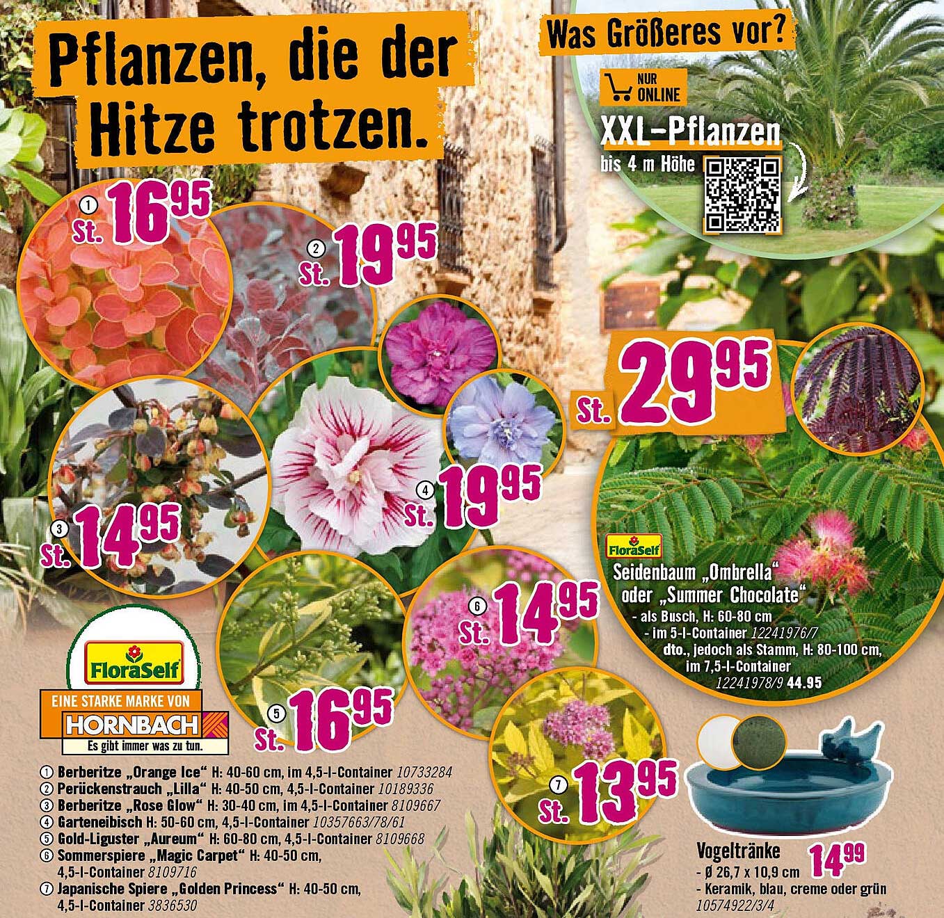 Pflanzen, die der Hitze trotzen