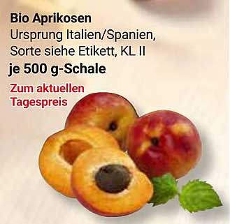 Bio Aprikosen