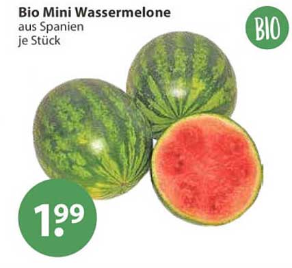 Bio Mini Wassermelone