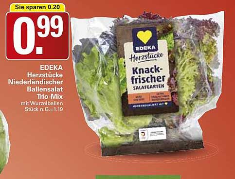 EDEKA Herzstücke Niederländischer Ballensalat Trio-Mix mit Würzbeilagen