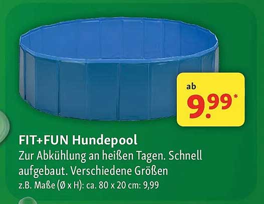 FIT+FUN Hundepool