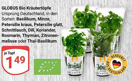 GLOBUS Bio Kräutertöpfe