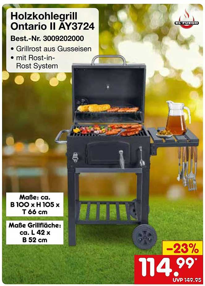 Holzkohlegrill Ontario II AY3724