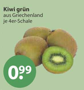 Kiwi grün aus Griechenland je 4er-Schale