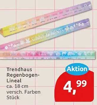 Trendhaus Regenbogen-Lineal ca. 18 cm versch. Farben Stück