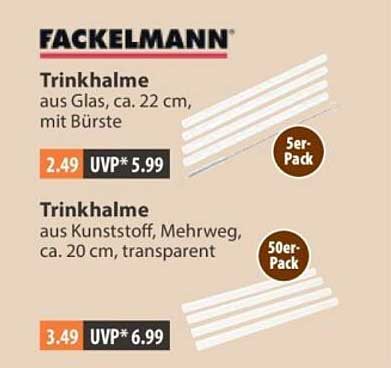 Trinkhalme aus Glas, ca. 22 cm, mit Bürste