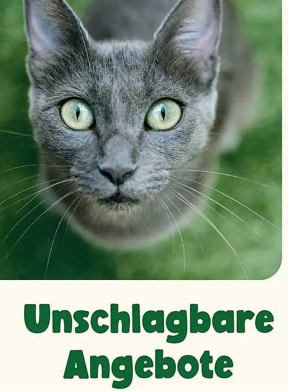 Unschlagbare Angebote