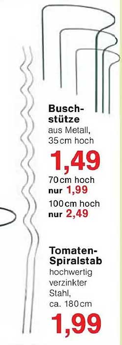 Buschstütze und Tomaten-Spiralstab aus Metall – die ideale Unterstützung für Ihren Garten!