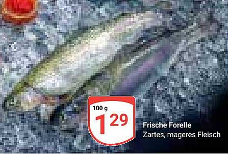 Frische Forelle - Zartes, mageres Fleisch