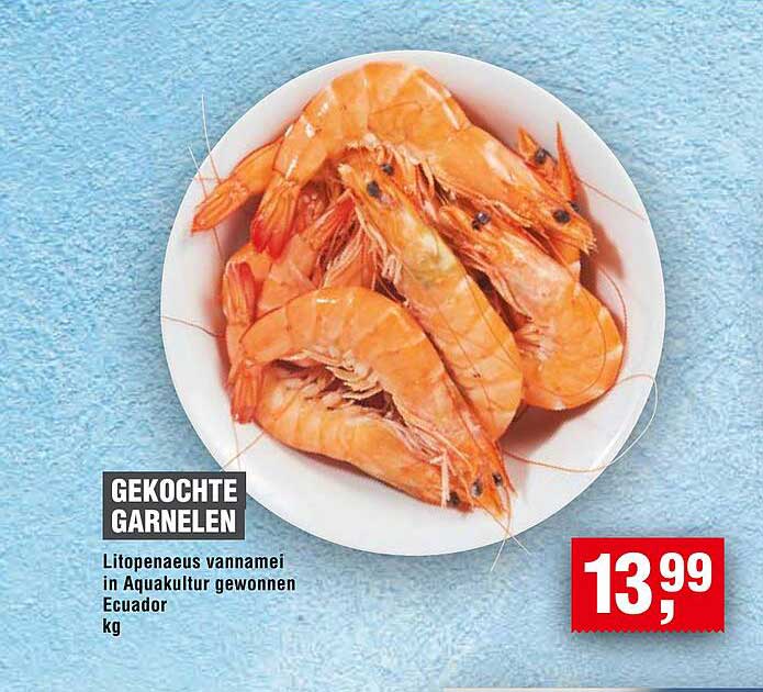 Gekochte Garnelen - Litopenaeus vannamei in Aquakultur gewonnen