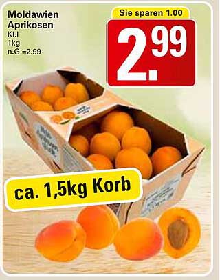 Moldawien Aprikosen ca. 1,5kg Korb