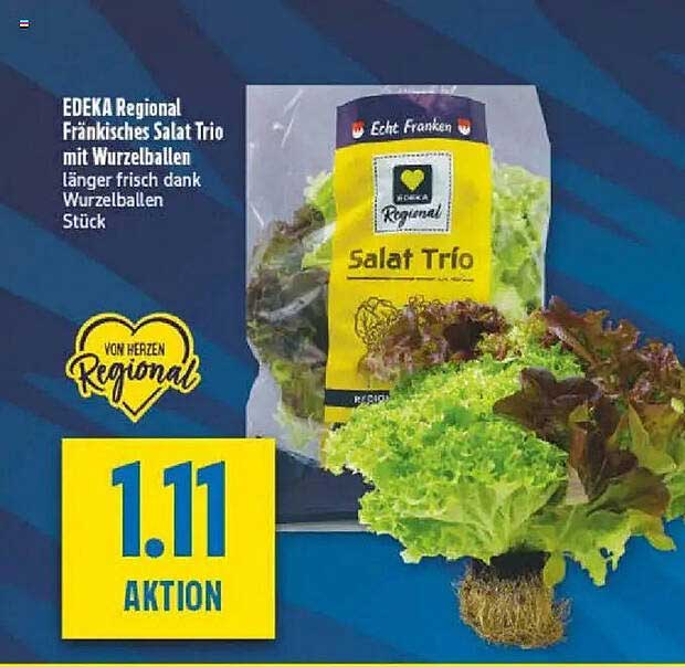 EDEKA Regional Fränkisches Salat Trio mit Wurzelballen länger frisch dank Wurzelballen Stück