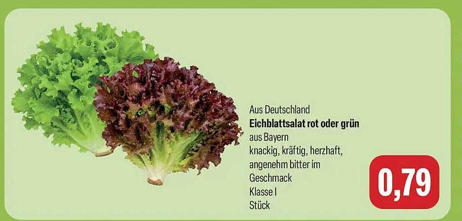 Eichblattsalat rot oder grün