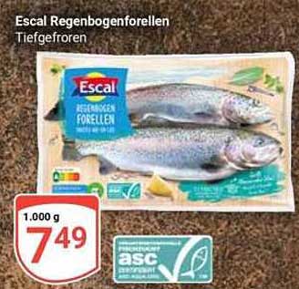 Escal Regenbogenforellen Tiefgefroren