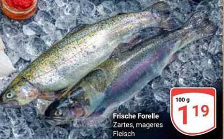 Frische Forelle