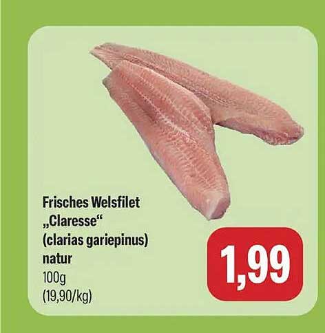 Frisches Welsfilet „Claresse“ (clarias gariepinus) natur 100g (19,90/kg)