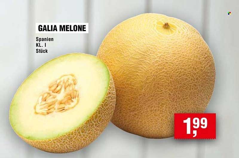 GALIA MELONE