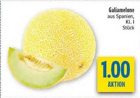 Galiamelone aus Spanien, Kl. I Stück