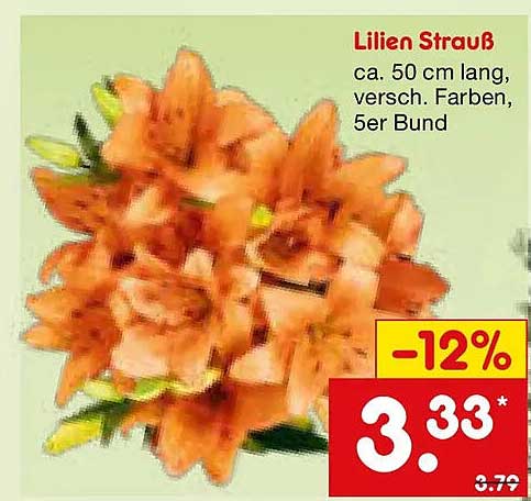 Lilien Strauß ca. 50 cm lang, versch. Farben, 5er Bund
