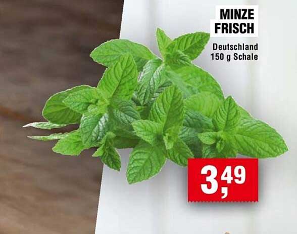MINZE FRISCH Deutschland 150 g Schale