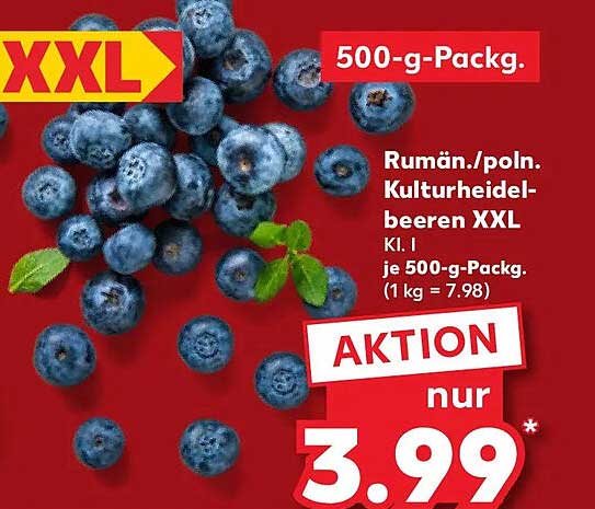 Rumän./poln. Kulturheidelbeeren XXL Kl. I je 500-g-Packg.
