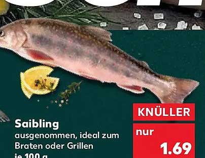 Saibling