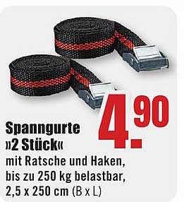 Spanngurte »2 Stück« mit Ratsche und Haken, bis zu 250 kg belastbar, 2,5 x 250 cm (B x L)