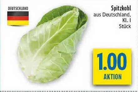 Spitzkohl aus Deutschland, Kl. I Stück