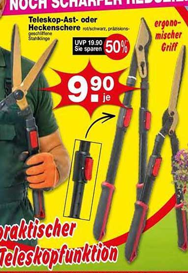 Teleskop-Ast- oder Heckenschere
