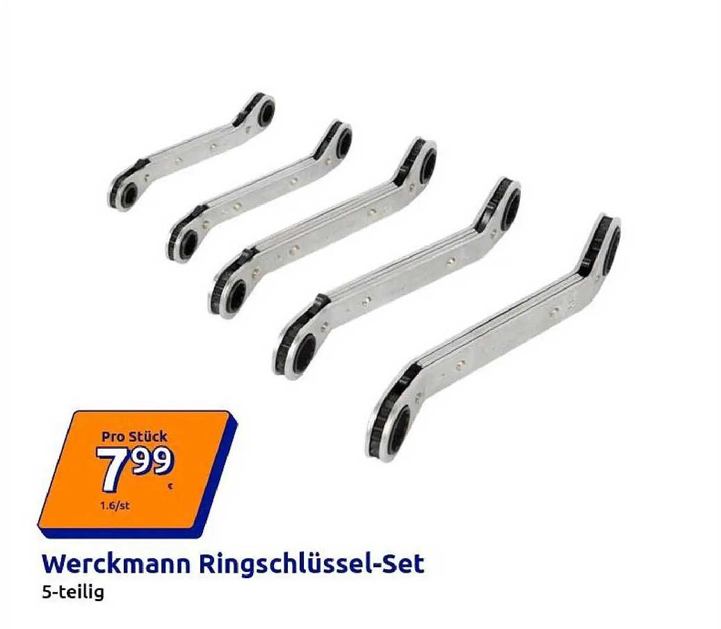 Werckmann Ringschlüssel-Set 5-teilig