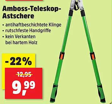 Amboss-Teleskop-Astscherer
