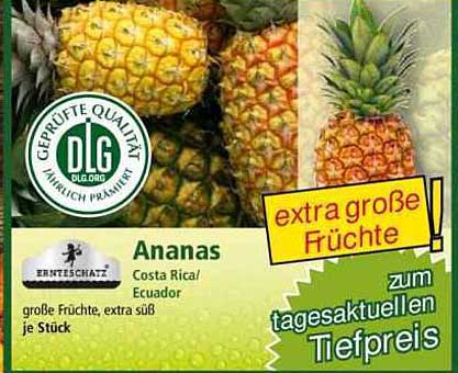 Ananas - Costa Rica/Ecuador - große Früchte, extra süß