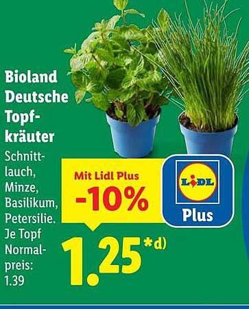 Bioland Deutsche Topfkräuter - Schnittlauch, Minze, Basilikum, Petersilie