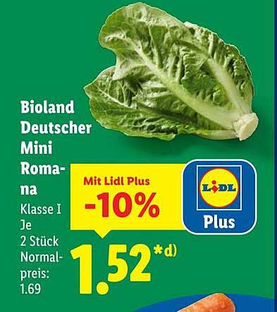 Bioland Deutscher Mini-Romanasalat, 2 Stück