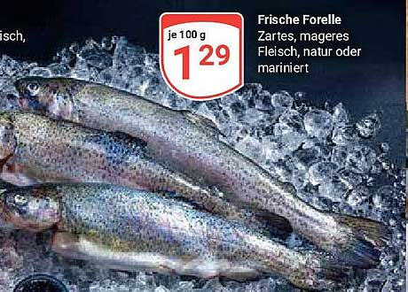 Frische Forelle - zartes, mageres Fleisch, natur oder mariniert
