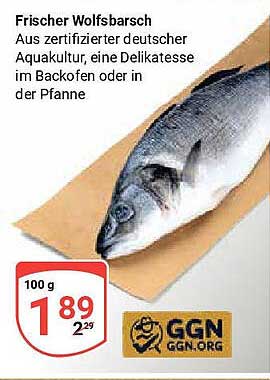Frischer Wolfsbarsch aus zertifizierter deutscher Aquakultur