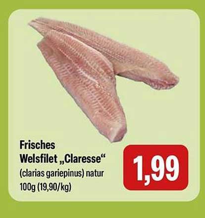 Frisches Welsfilet „Claresse“ (clarias gariepinus) natur 100g