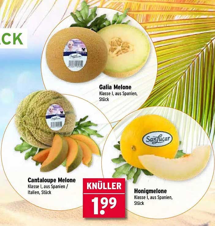 Galia Melone, Klasse I, aus Spanien, Stück