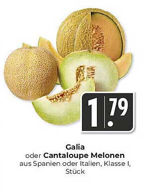 Galia oder Cantaloupe Melonen aus Spanien oder Italien, Klasse I, Stück