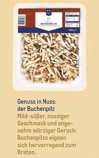 Genuss in Nuss: der Buchenpilz