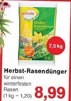 Herbst-Rasendünger für einen winterfesten Rasen