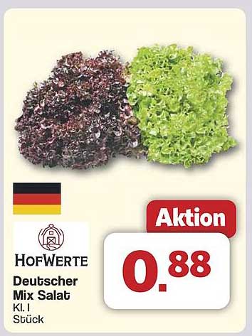 HofWerte Deutscher Mix Salat Kl. I Stück