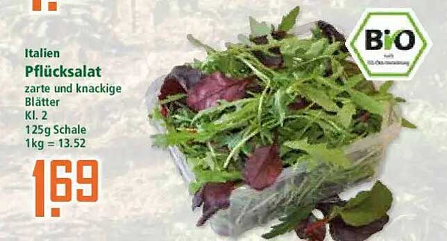 Italienischer Pflücksalat - Zarte und knackige Blätter